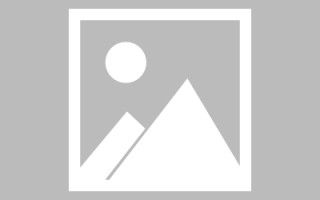 沙洋美国设计网页制作公司（美国设计网站大全）